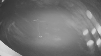 Snímek 12.11.2025 v 20:30