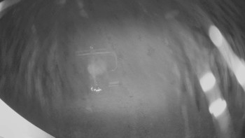 Snímek 14.11.2025 v 03:30