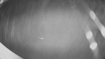 Snímek 14.11.2025 v 22:00