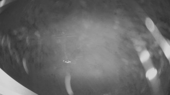 Snímek 15.11.2025 v 04:30