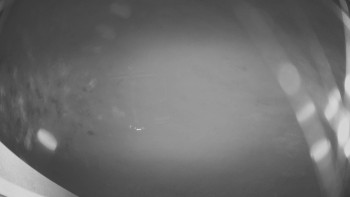 Snímek 16.11.2025 v 20:00