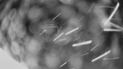 Horní část sjezdovky Skiareálu Ramzová