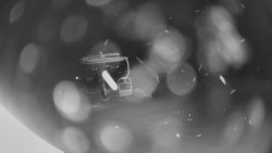 Horní část sjezdovky Skiareálu Ramzová