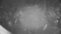 Horní část sjezdovky Skiareálu Ramzová