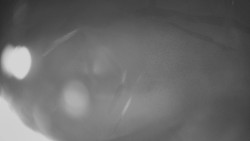 Horní část sjezdovky Skiareálu Ramzová