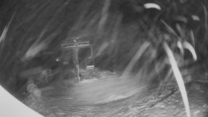 Horské atrakce Ramzová - Horní část sjezdovky Skiareálu Ramzová - 11.2.2026 v 00:30 Horské atrakce Ramzová - Horní část sjezdovky Skiareálu Ramzová - 11.2.2026 v 00:30