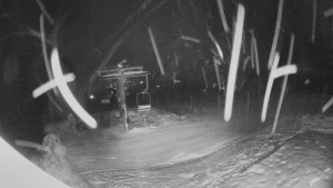 Horské atrakce Ramzová - Horní část sjezdovky Skiareálu Ramzová - 11.2.2026 v 06:00 Horské atrakce Ramzová - Horní část sjezdovky Skiareálu Ramzová - 11.2.2026 v 06:00