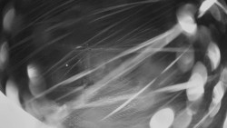 Horní část sjezdovky Skiareálu Ramzová