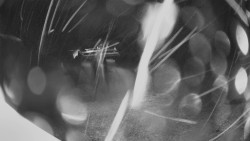 Horní část sjezdovky Skiareálu Ramzová