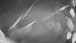 Horní část sjezdovky Skiareálu Ramzová