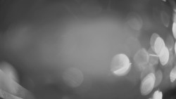 Horní část sjezdovky Skiareálu Ramzová