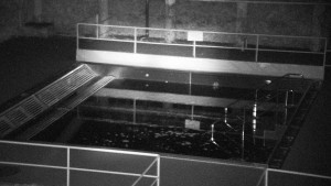 Koupaliště Rusava - Whirlpool koupaliště Rusava - 3.11.2023 v 05:00 Koupaliště Rusava - Whirlpool koupaliště Rusava - 3.11.2023 v 05:00