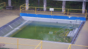 Koupaliště Rusava - Whirlpool koupaliště Rusava - 3.11.2023 v 08:00 Koupaliště Rusava - Whirlpool koupaliště Rusava - 3.11.2023 v 08:00