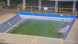 Koupaliště Rusava - Whirlpool koupaliště Rusava - 3.11.2023 v 10:00 Koupaliště Rusava - Whirlpool koupaliště Rusava - 3.11.2023 v 10:00