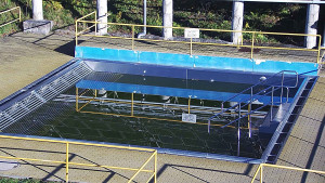 Koupaliště Rusava - Whirlpool koupaliště Rusava - 7.11.2023 v 09:00 Koupaliště Rusava - Whirlpool koupaliště Rusava - 7.11.2023 v 09:00
