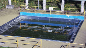 Koupaliště Rusava - Whirlpool koupaliště Rusava - 7.11.2023 v 11:00 Koupaliště Rusava - Whirlpool koupaliště Rusava - 7.11.2023 v 11:00