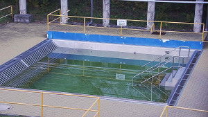 Koupaliště Rusava - Whirlpool koupaliště Rusava - 7.11.2023 v 16:00 Koupaliště Rusava - Whirlpool koupaliště Rusava - 7.11.2023 v 16:00