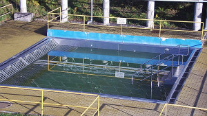 Koupaliště Rusava - Whirlpool koupaliště Rusava - 8.11.2023 v 09:00 Koupaliště Rusava - Whirlpool koupaliště Rusava - 8.11.2023 v 09:00