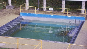 Koupaliště Rusava - Whirlpool koupaliště Rusava - 8.11.2023 v 11:00 Koupaliště Rusava - Whirlpool koupaliště Rusava - 8.11.2023 v 11:00