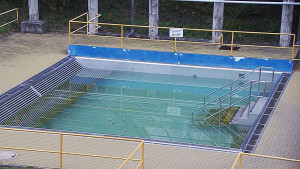 Koupaliště Rusava - Whirlpool koupaliště Rusava - 8.11.2023 v 16:00 Koupaliště Rusava - Whirlpool koupaliště Rusava - 8.11.2023 v 16:00