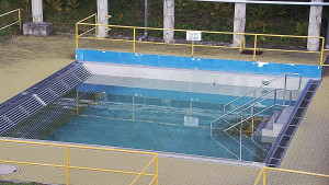 Koupaliště Rusava - Whirlpool koupaliště Rusava - 9.11.2023 v 13:00 Koupaliště Rusava - Whirlpool koupaliště Rusava - 9.11.2023 v 13:00