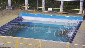 Koupaliště Rusava - Whirlpool koupaliště Rusava - 9.11.2023 v 15:00 Koupaliště Rusava - Whirlpool koupaliště Rusava - 9.11.2023 v 15:00