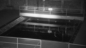 Koupaliště Rusava - Whirlpool koupaliště Rusava - 9.11.2023 v 21:00 Koupaliště Rusava - Whirlpool koupaliště Rusava - 9.11.2023 v 21:00