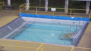 Koupaliště Rusava - Whirlpool koupaliště Rusava - 17.11.2023 v 10:00 Koupaliště Rusava - Whirlpool koupaliště Rusava - 17.11.2023 v 10:00