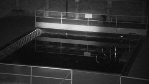 Koupaliště Rusava - Whirlpool koupaliště Rusava - 17.4.2024 v 02:00 Koupaliště Rusava - Whirlpool koupaliště Rusava - 17.4.2024 v 02:00