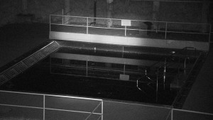 Koupaliště Rusava - Whirlpool koupaliště Rusava - 17.4.2024 v 05:00 Koupaliště Rusava - Whirlpool koupaliště Rusava - 17.4.2024 v 05:00