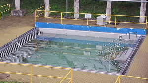 Koupaliště Rusava - Whirlpool koupaliště Rusava - 17.4.2024 v 08:00 Koupaliště Rusava - Whirlpool koupaliště Rusava - 17.4.2024 v 08:00