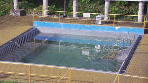 Koupaliště Rusava - Whirlpool koupaliště Rusava - 17.4.2024 v 16:00 Koupaliště Rusava - Whirlpool koupaliště Rusava - 17.4.2024 v 16:00