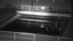 Koupaliště Rusava - Whirlpool koupaliště Rusava - 17.4.2024 v 21:00 Koupaliště Rusava - Whirlpool koupaliště Rusava - 17.4.2024 v 21:00