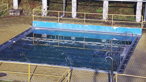 Koupaliště Rusava - Whirlpool koupaliště Rusava - 30.11.2024 v 12:00 Koupaliště Rusava - Whirlpool koupaliště Rusava - 30.11.2024 v 12:00