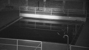 Koupaliště Rusava - Whirlpool koupaliště Rusava - 30.11.2024 v 17:00 Koupaliště Rusava - Whirlpool koupaliště Rusava - 30.11.2024 v 17:00