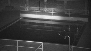 Koupaliště Rusava - Whirlpool koupaliště Rusava - 30.11.2024 v 18:00 Koupaliště Rusava - Whirlpool koupaliště Rusava - 30.11.2024 v 18:00