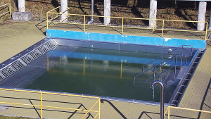 Koupaliště Rusava - Whirlpool koupaliště Rusava - 5.2.2025 v 11:00 Koupaliště Rusava - Whirlpool koupaliště Rusava - 5.2.2025 v 11:00