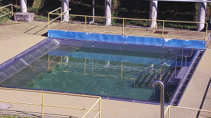 Koupaliště Rusava - Whirlpool koupaliště Rusava - 16.4.2025 v 10:00 Koupaliště Rusava - Whirlpool koupaliště Rusava - 16.4.2025 v 10:00