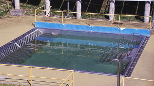 Koupaliště Rusava - Whirlpool koupaliště Rusava - 16.4.2025 v 12:00 Koupaliště Rusava - Whirlpool koupaliště Rusava - 16.4.2025 v 12:00