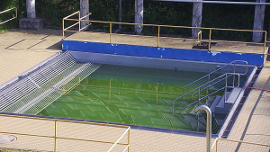 Koupaliště Rusava - Whirlpool koupaliště Rusava - 13.6.2025 v 08:00 Koupaliště Rusava - Whirlpool koupaliště Rusava - 13.6.2025 v 08:00