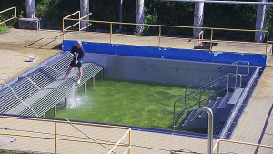 Koupaliště Rusava - Whirlpool koupaliště Rusava - 13.6.2025 v 09:00 Koupaliště Rusava - Whirlpool koupaliště Rusava - 13.6.2025 v 09:00
