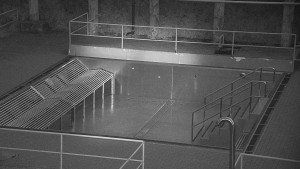 Koupaliště Rusava - Whirlpool koupaliště Rusava - 14.6.2025 v 04:05 Koupaliště Rusava - Whirlpool koupaliště Rusava - 14.6.2025 v 04:05