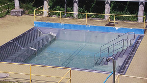 Koupaliště Rusava - Whirlpool koupaliště Rusava - 14.6.2025 v 13:00 Koupaliště Rusava - Whirlpool koupaliště Rusava - 14.6.2025 v 13:00