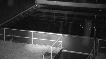 Snímek    29.10.2025 v 04:30