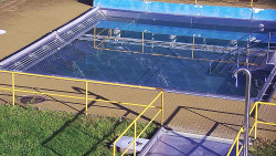 Whirlpool koupaliště Rusava