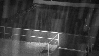 Snímek    3.11.2025 v 00:30