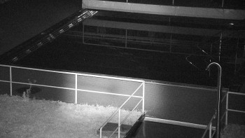 Snímek    3.11.2025 v 17:30