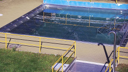 Whirlpool koupaliště Rusava