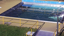 Whirlpool koupaliště Rusava