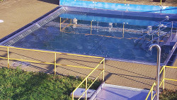 Whirlpool koupaliště Rusava